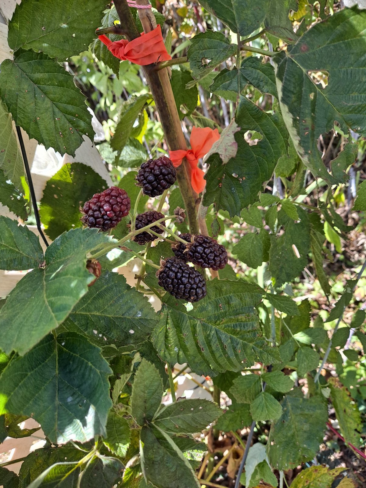 20231010_132542.jpg