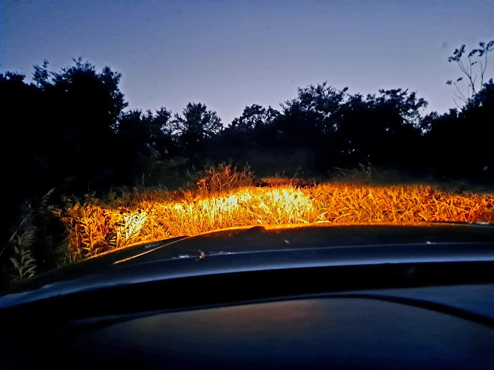 20231011_185803.jpg