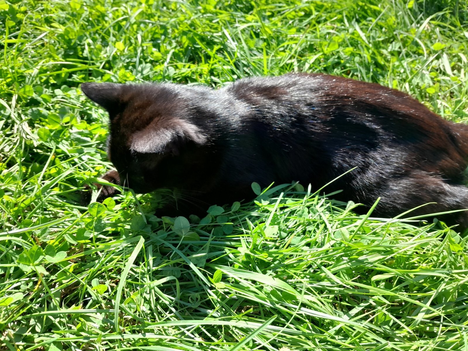 20231012_120953.jpg