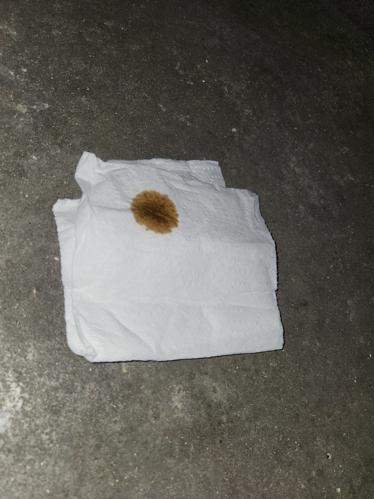 20231012_205541.jpg