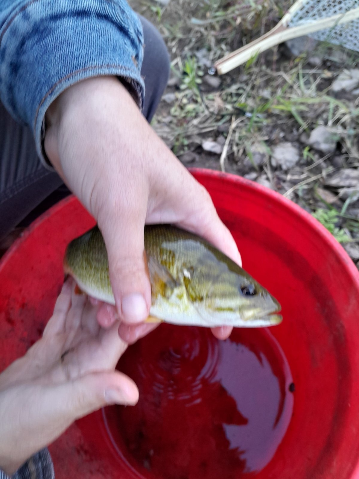 20231013_180104.jpg