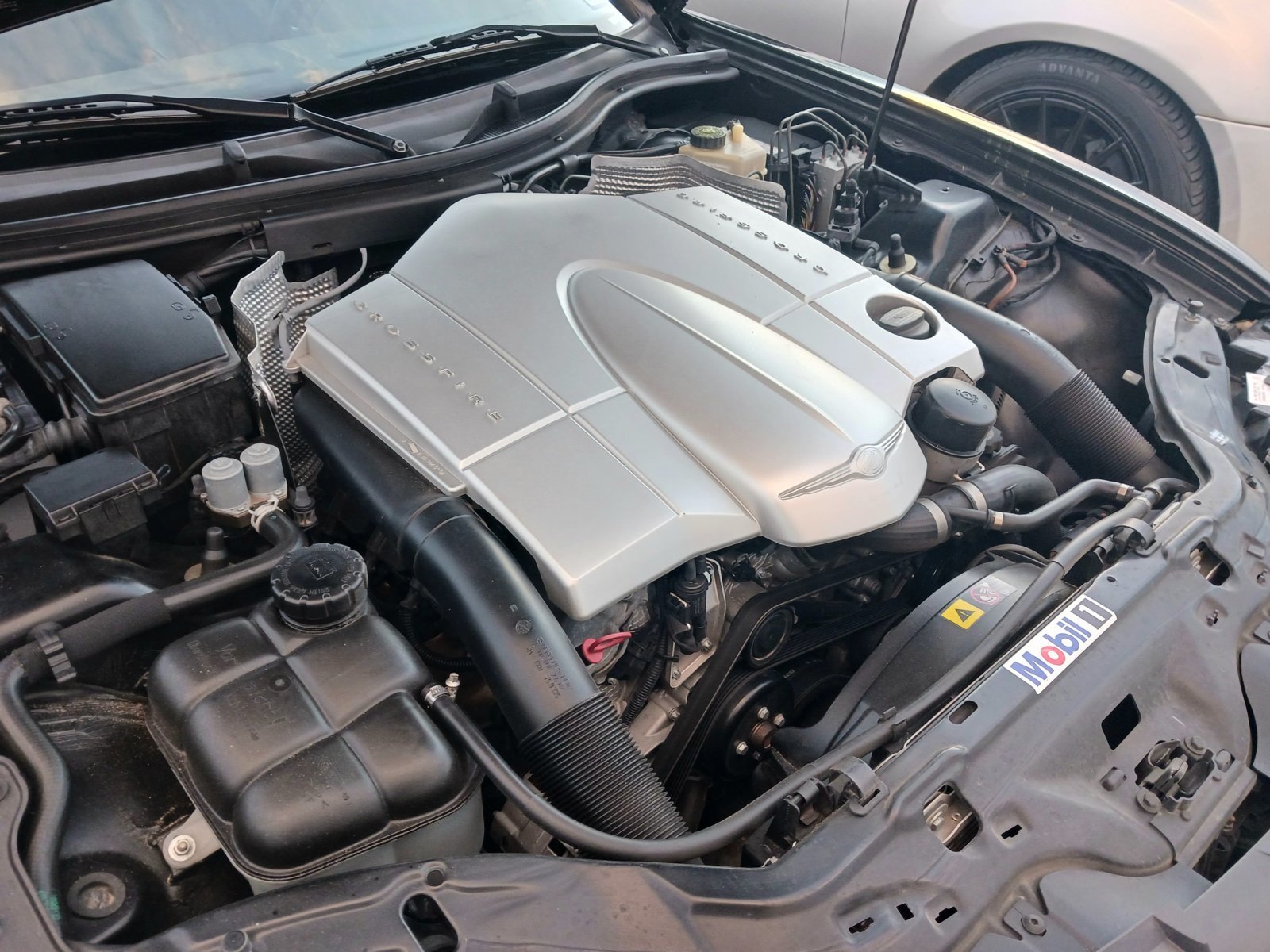 20231014_074533.jpg