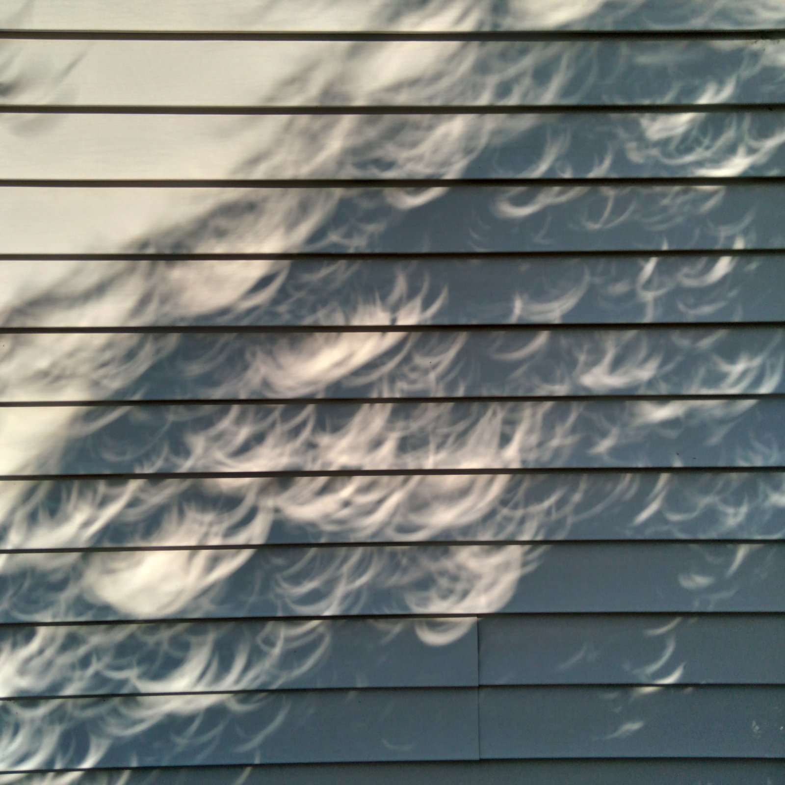 20231014_103734.jpg