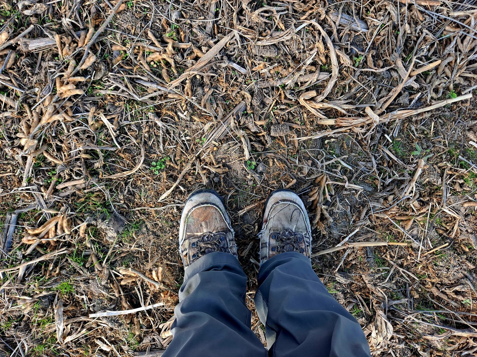 20231016_151440.jpg