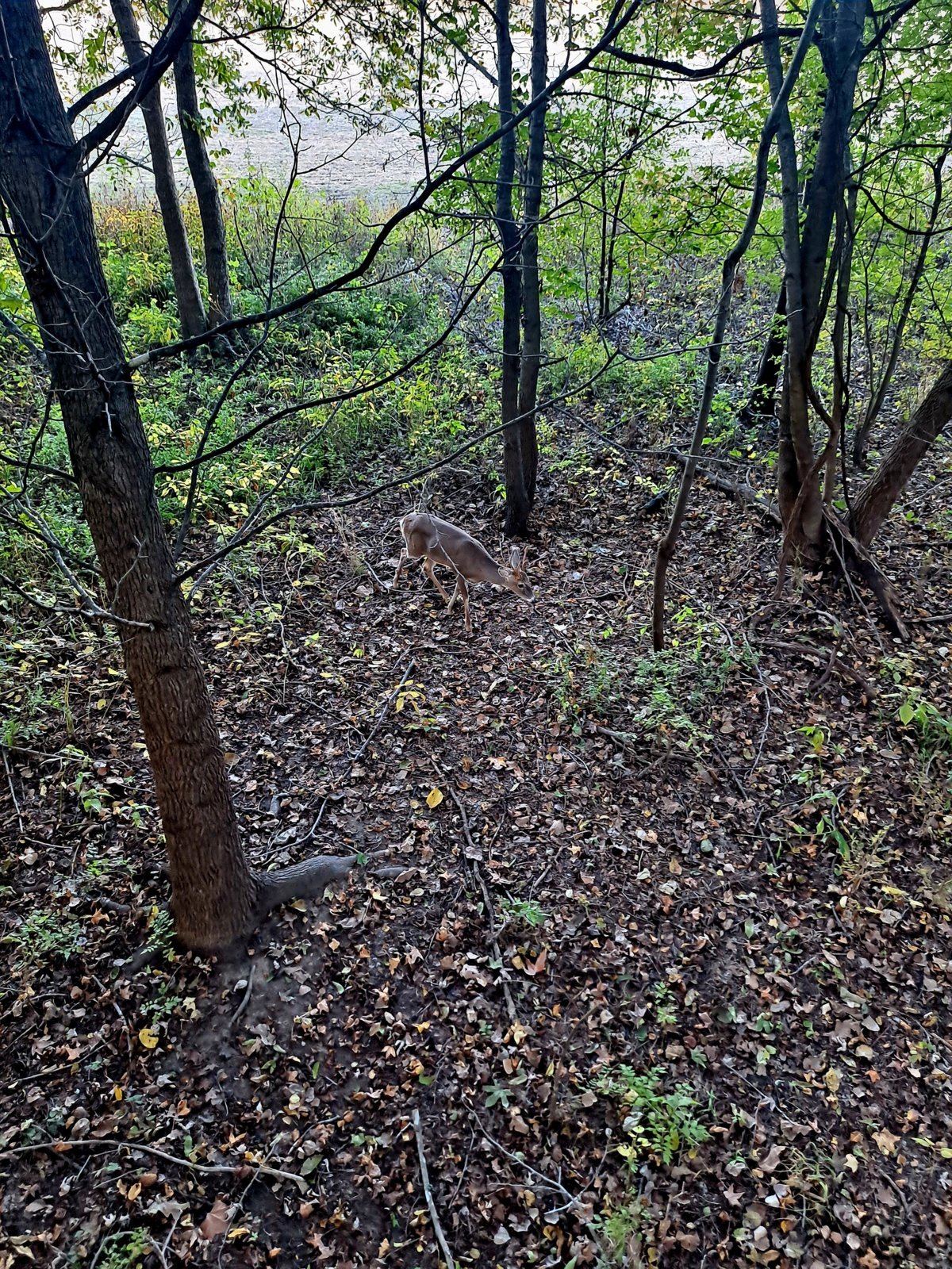 20231016_175134.jpg