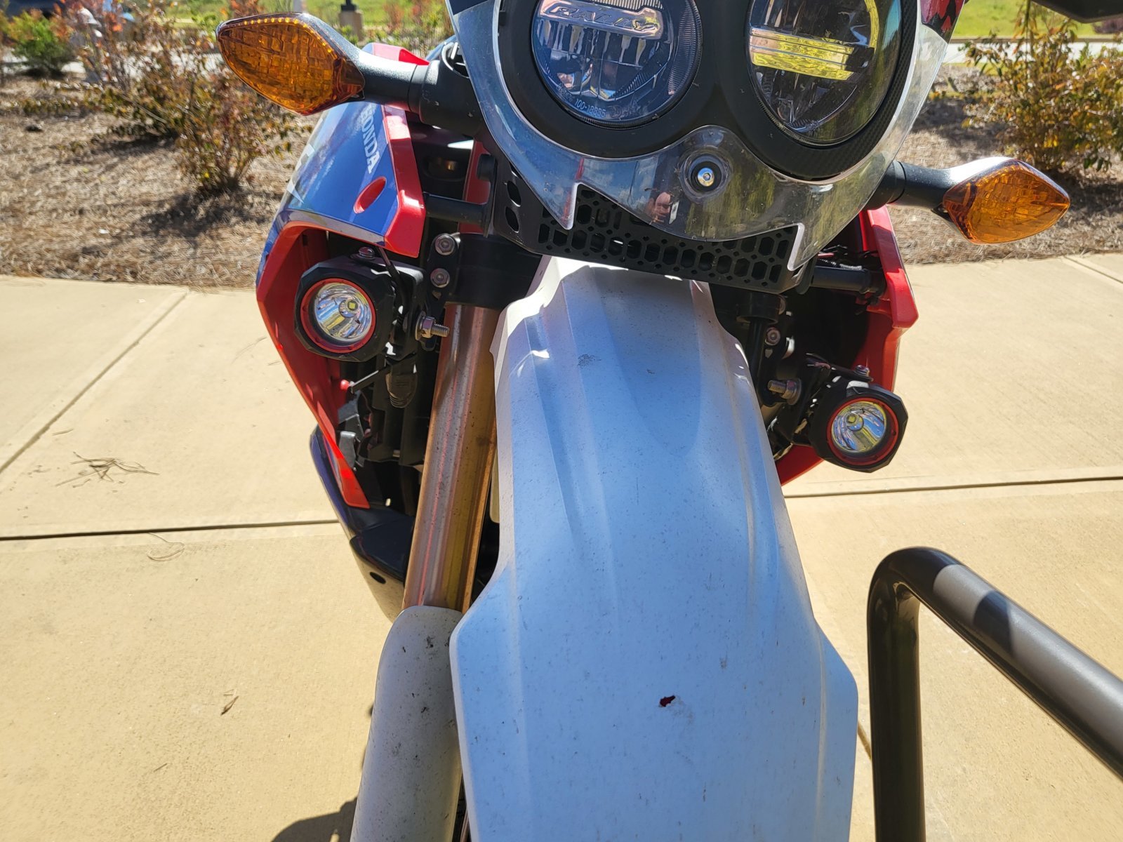 20231018_115531.jpg