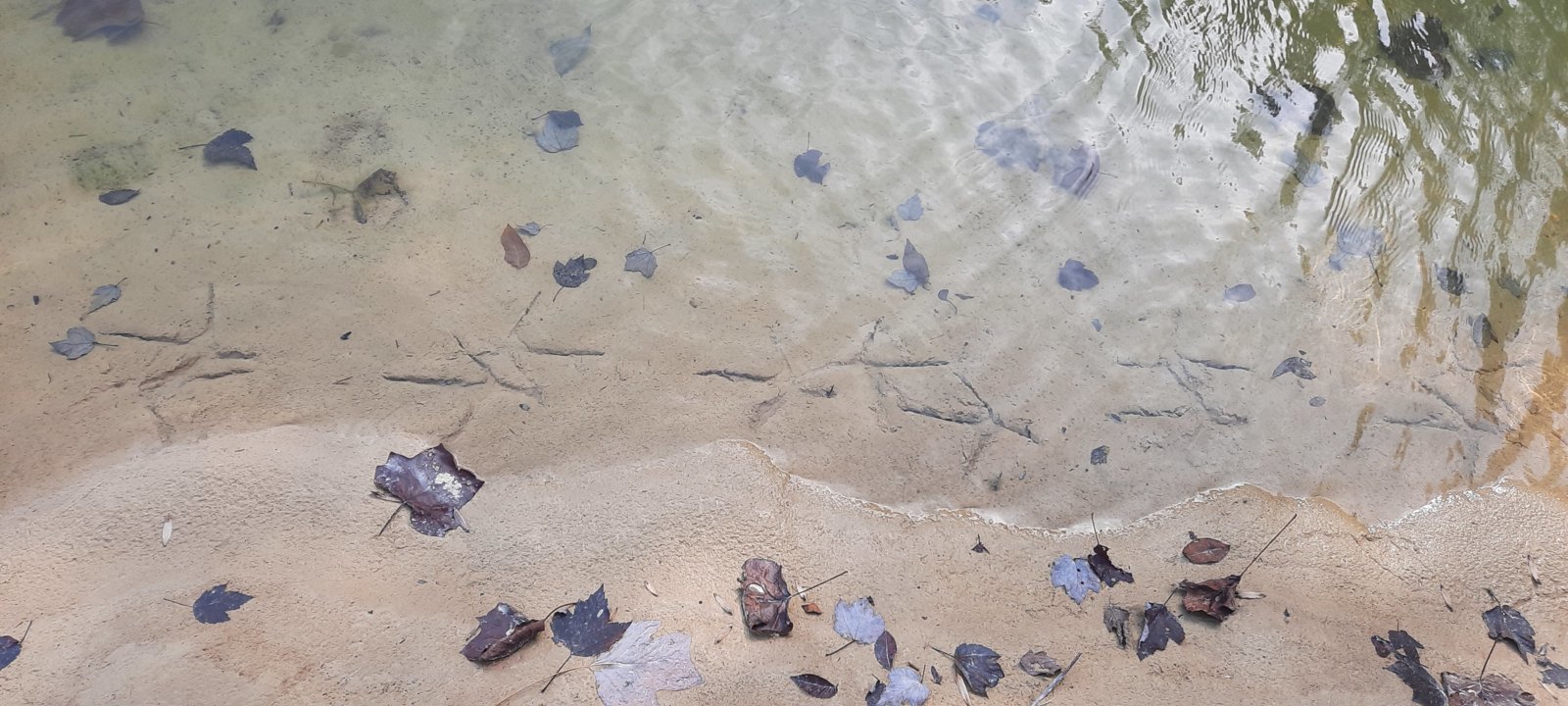 20231018_153506.jpg