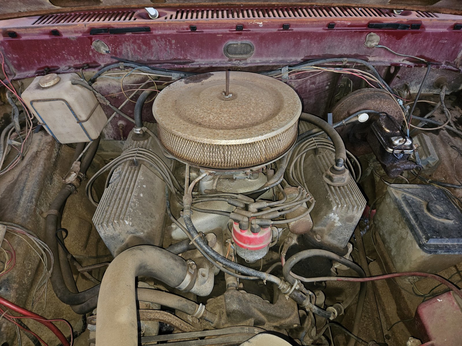 20231018_181039.jpg