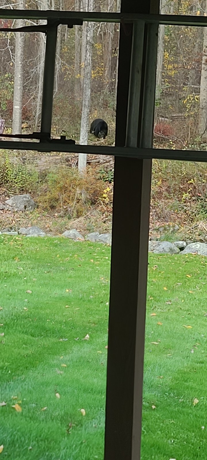 20231019_163950.jpg