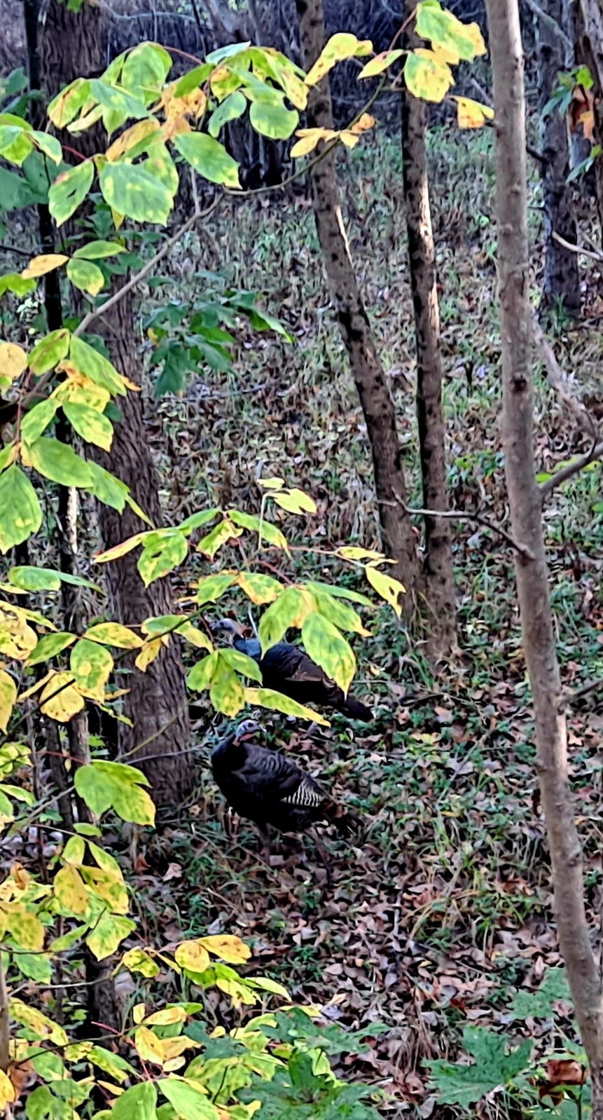 20231020_090441.jpg