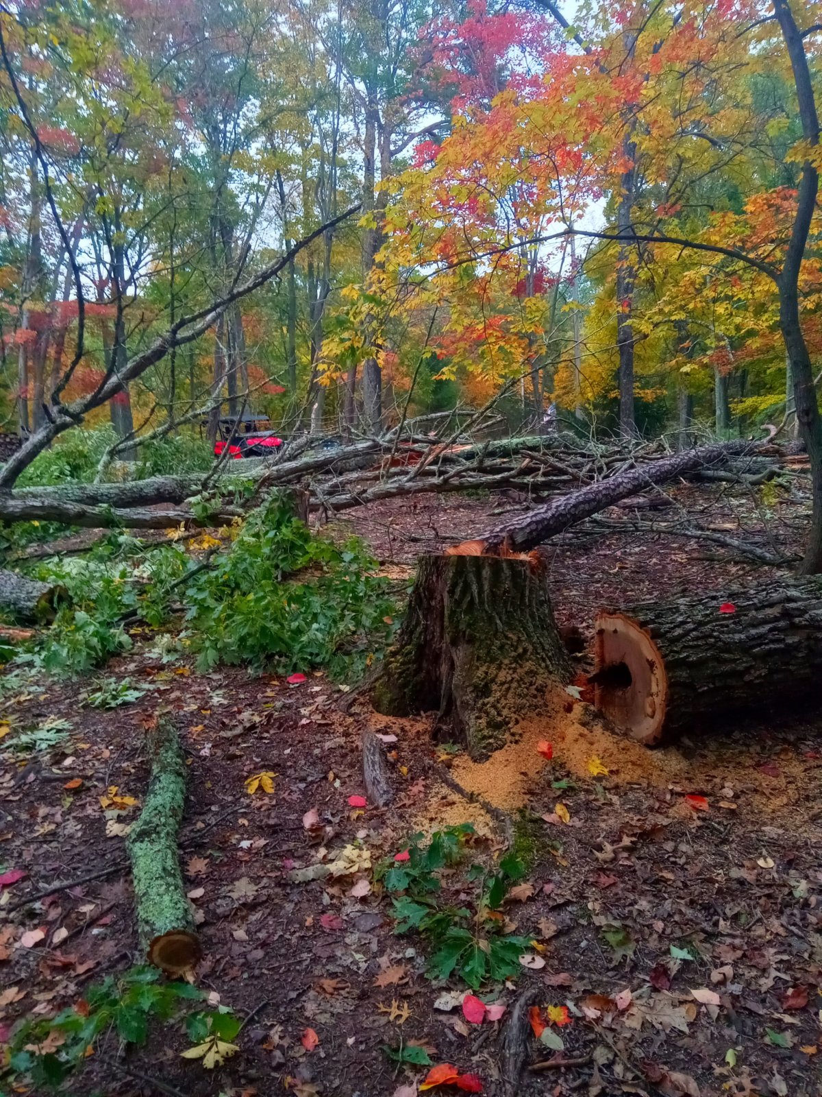 20231020_164054.jpg