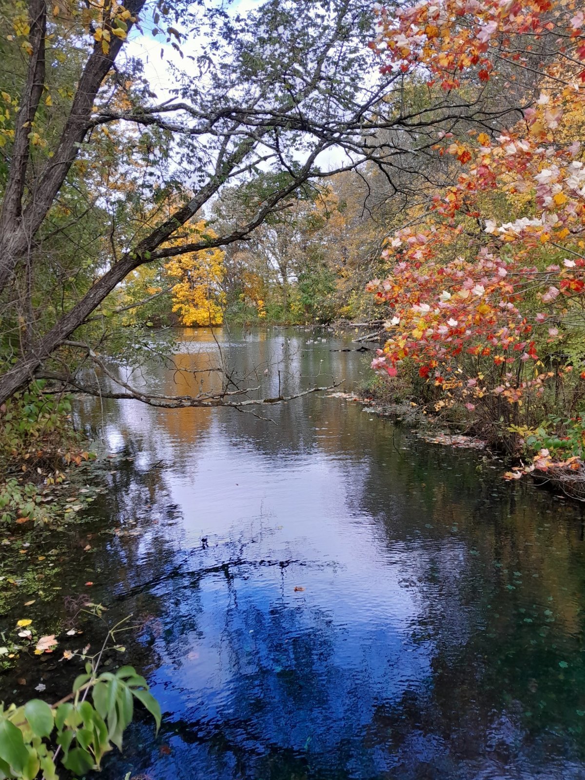 20231021_155210.jpg