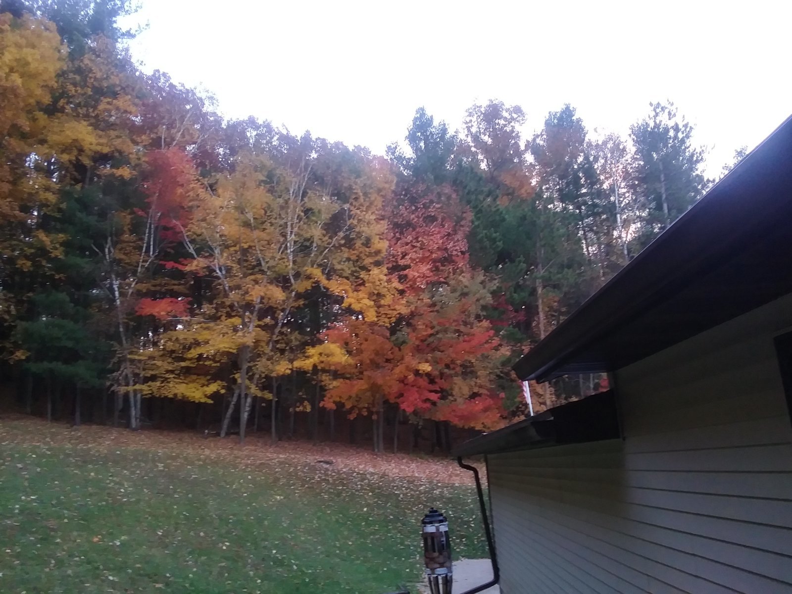 20231022_073441_HDR.jpg
