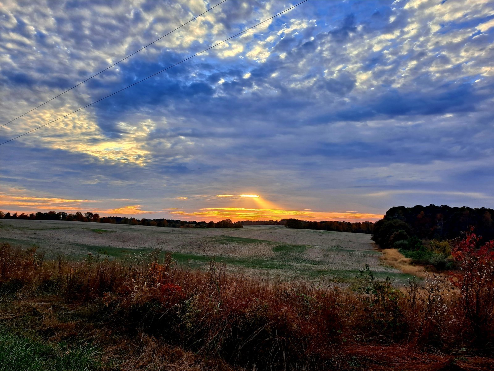 20231024_173440.jpg