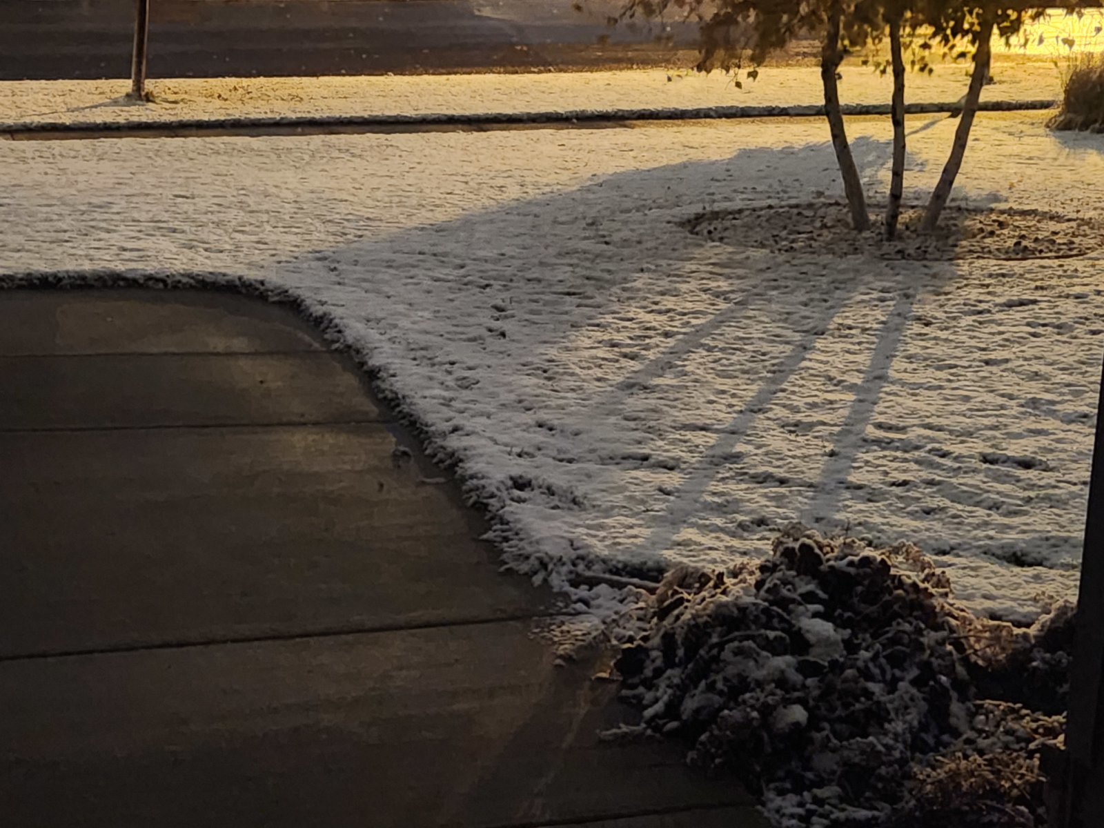 20231027_060559.jpg