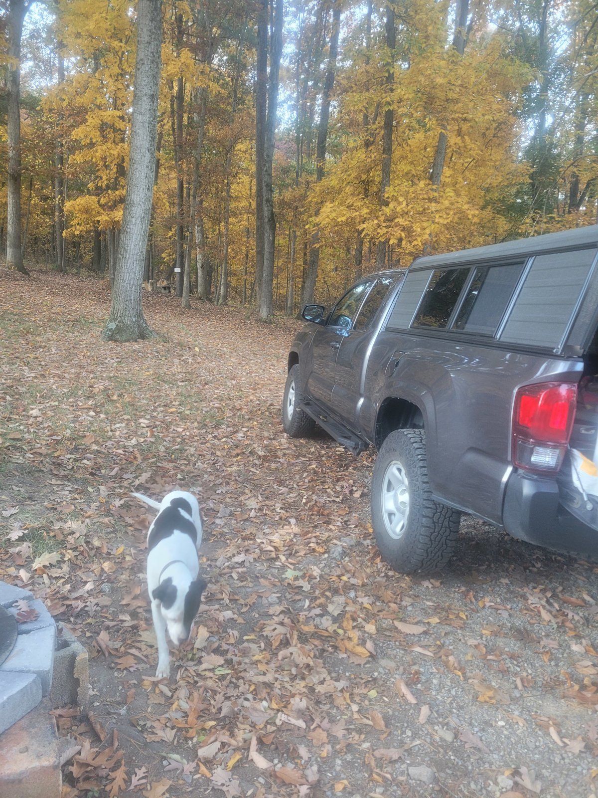 20231028_080749.jpg