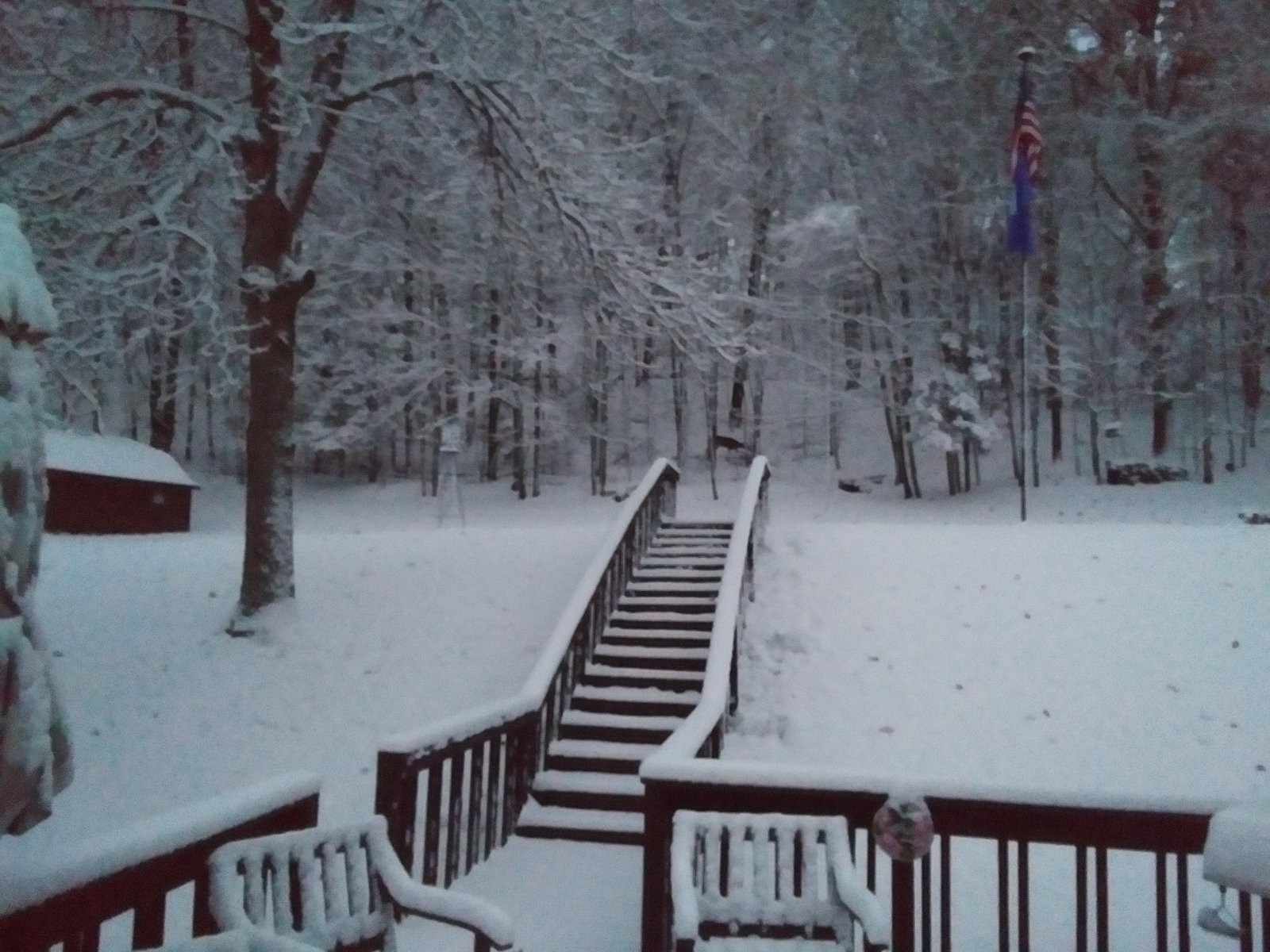 20231031_072551.jpg