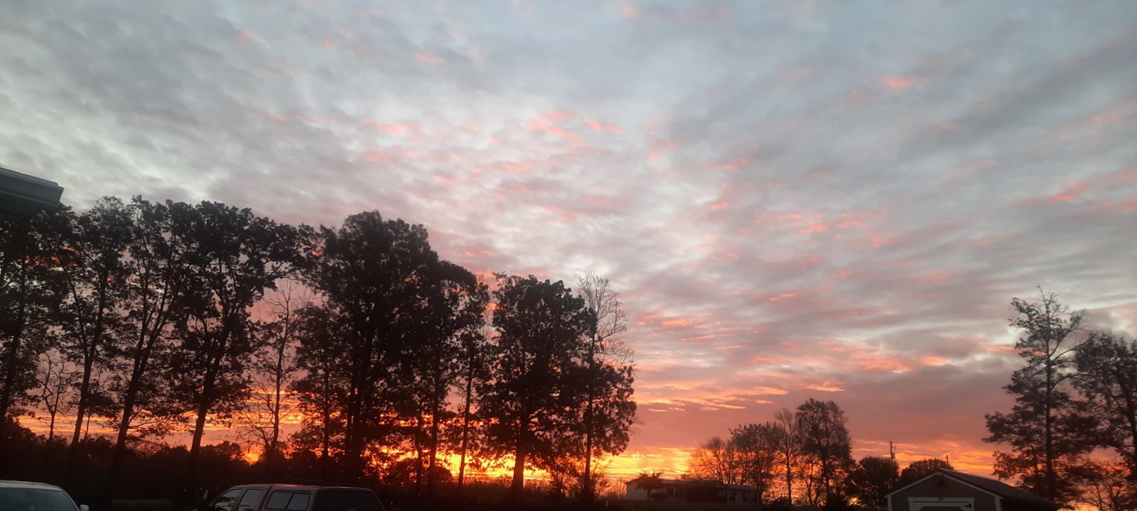 20231104_080743.jpg