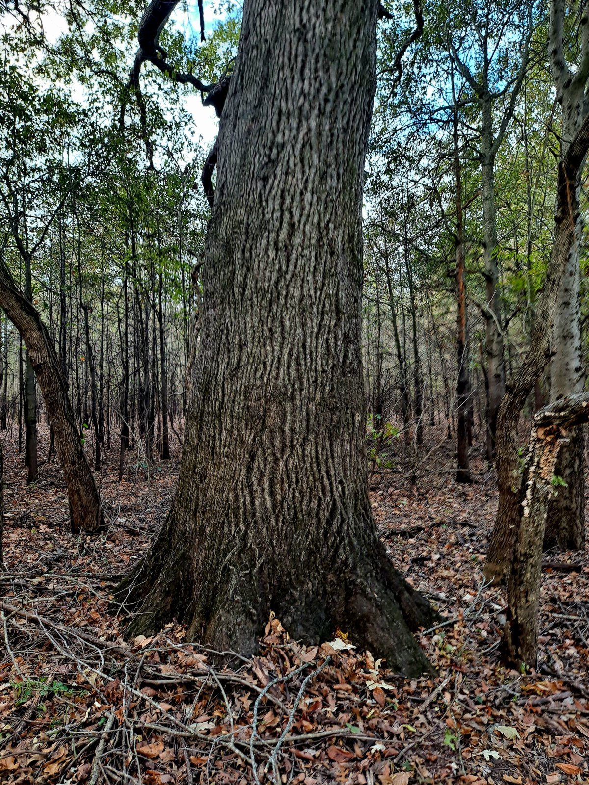 20231104_092047.jpg