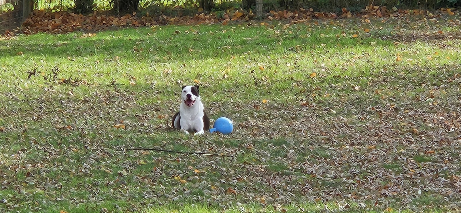 20231104_141238.jpg