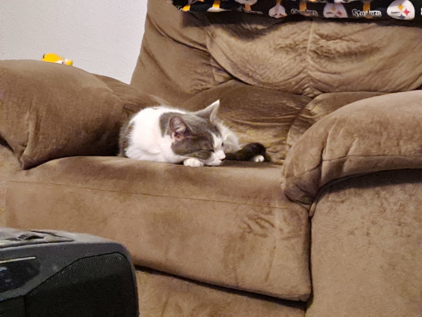 20231108_211653.jpg
