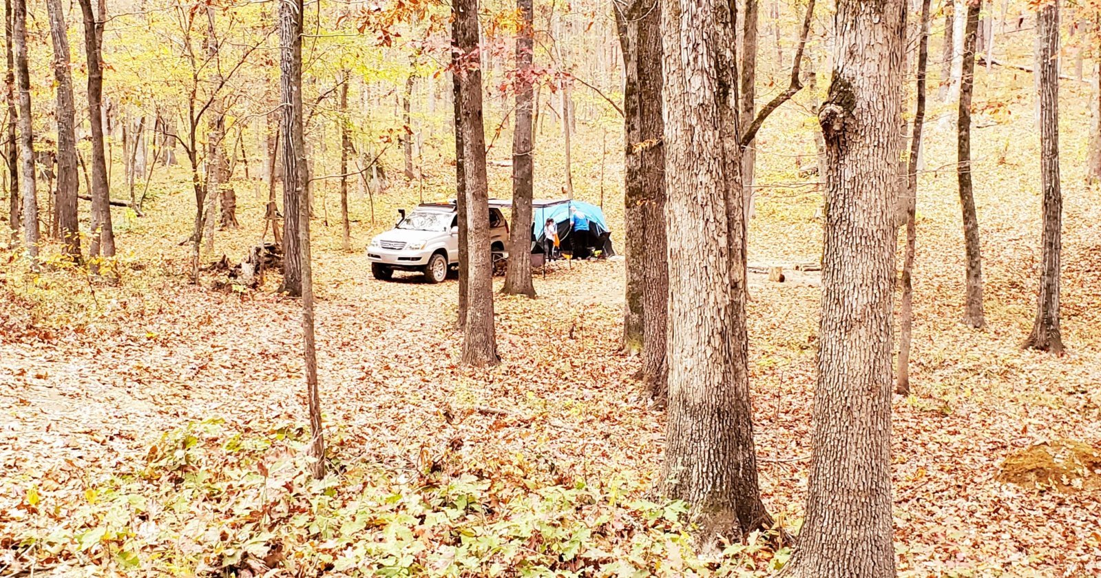 20231110_123849.jpg