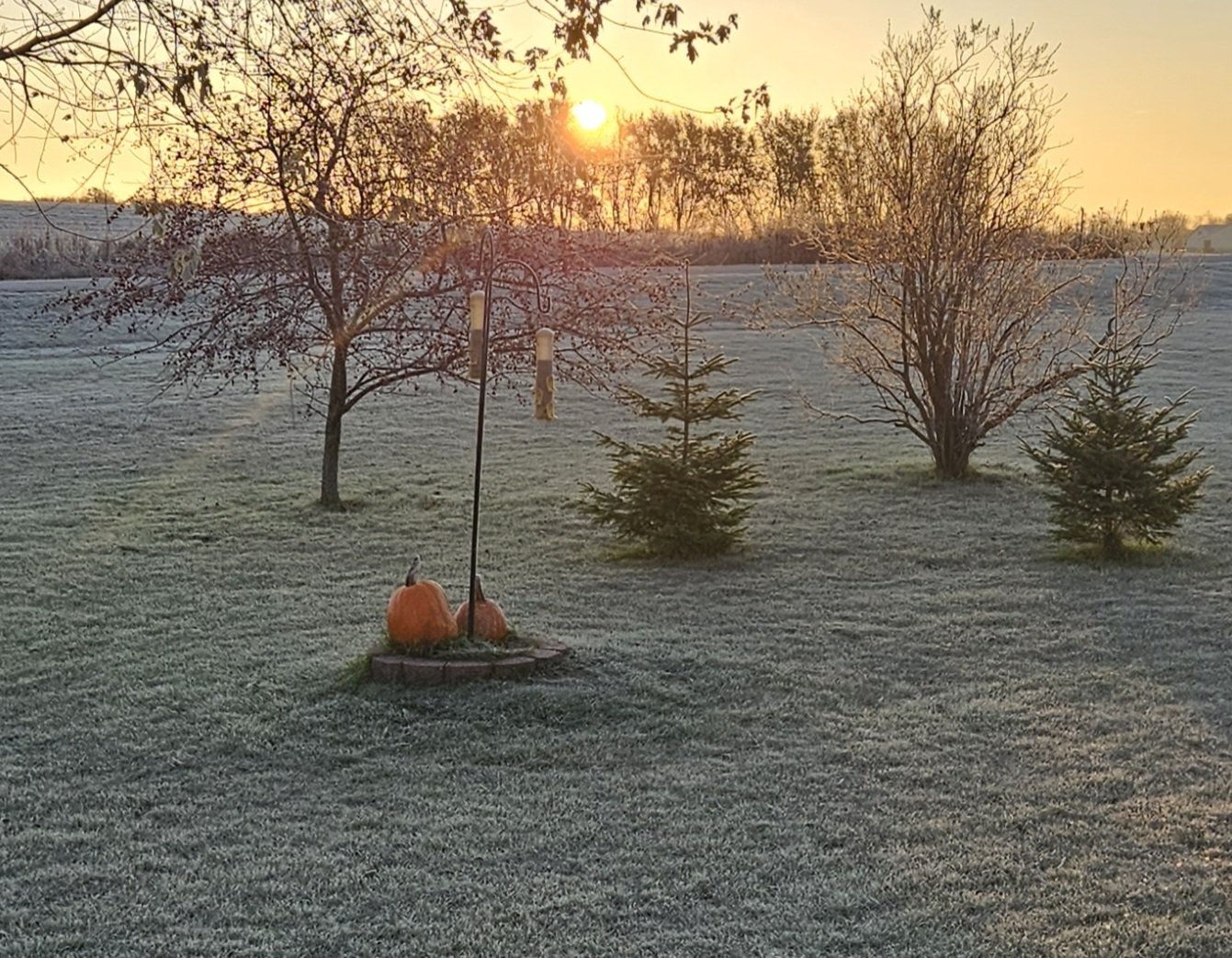 20231111_070524.jpg