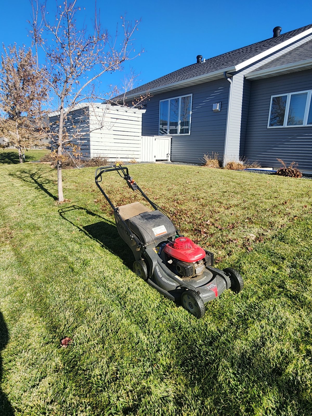 20231112_121652.jpg