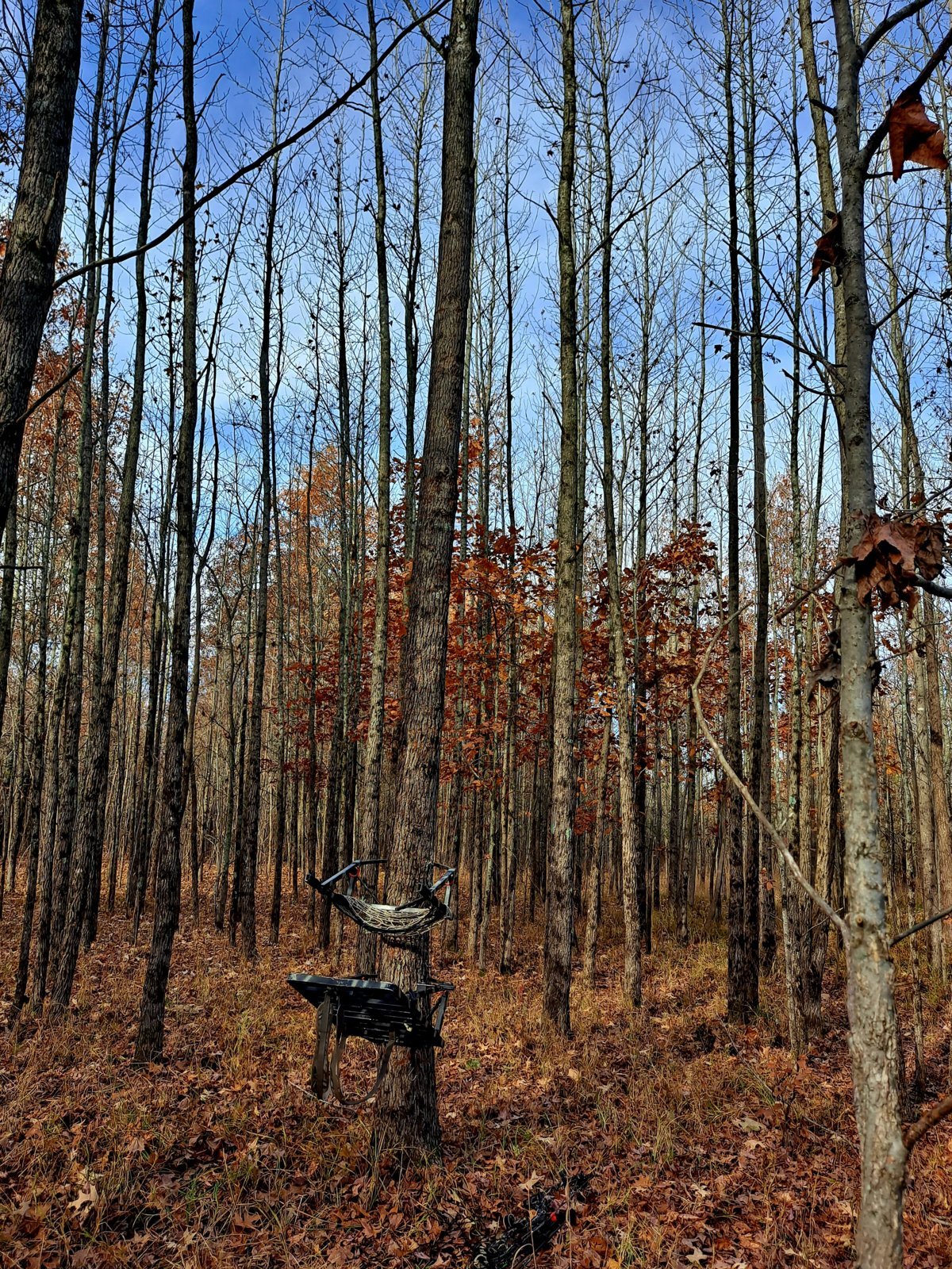 20231113_091536.jpg