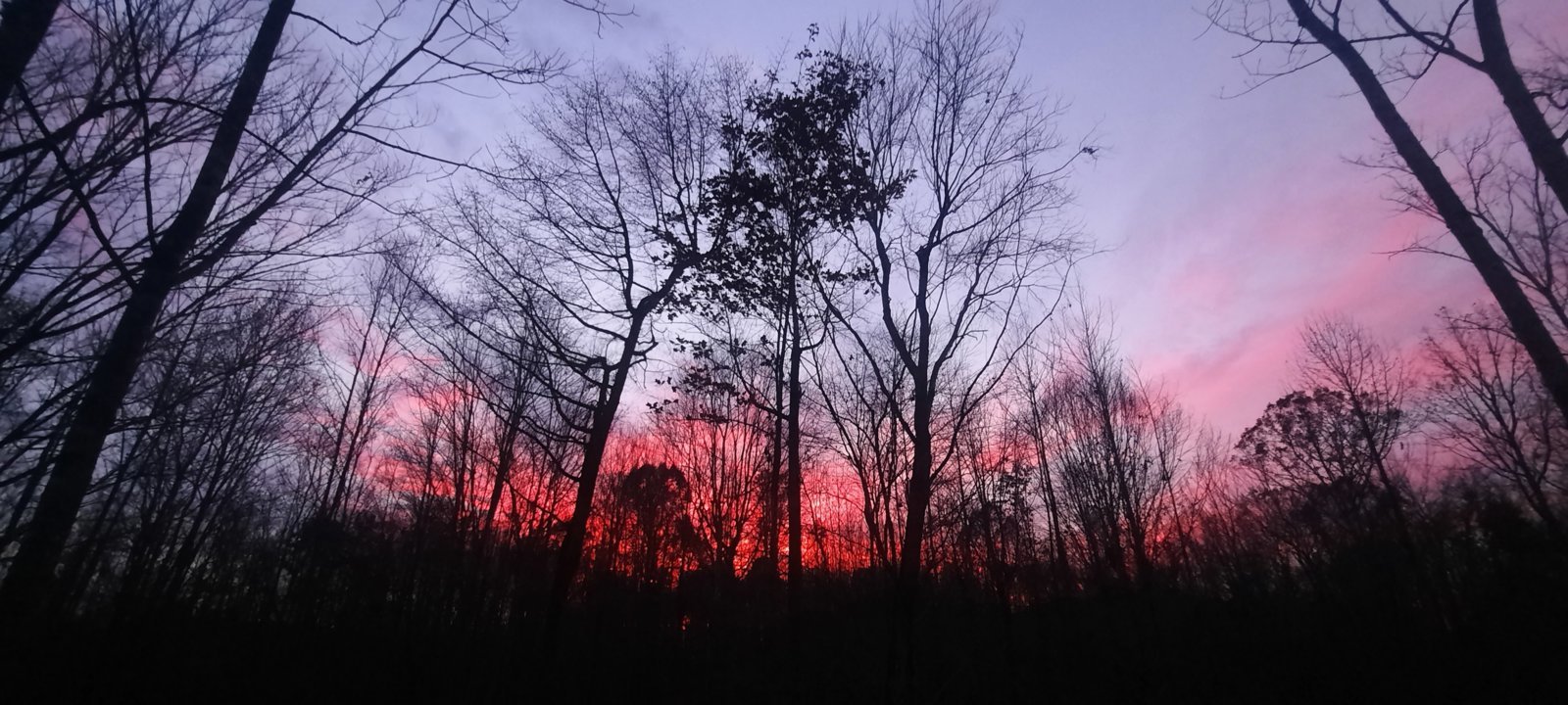 20231114_174915.jpg