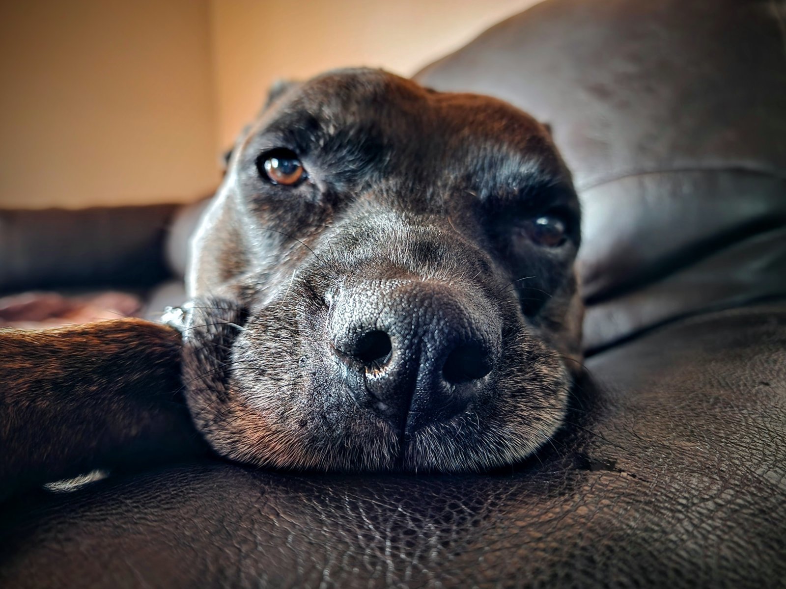 20231117_154102~2.jpg