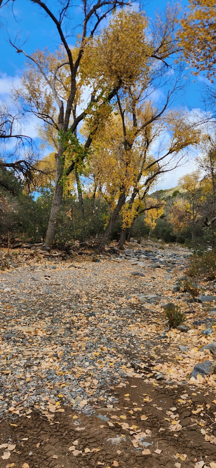 20231118_111557.jpg