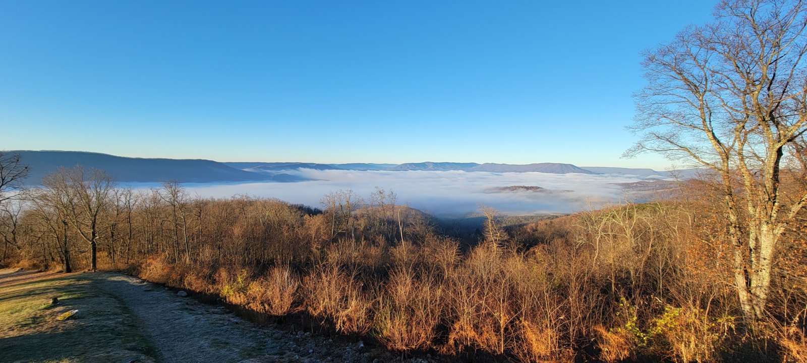 20231119_074846.jpg