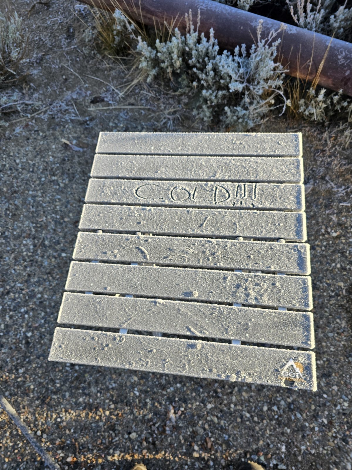 20231120_073727.jpg