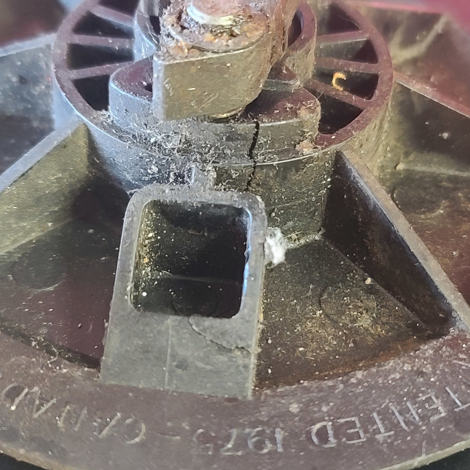 20231124_140424.jpg