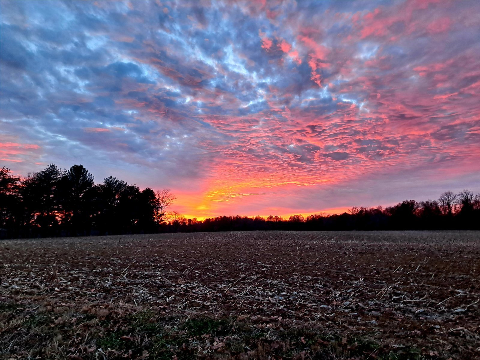 20231124_165012.jpg