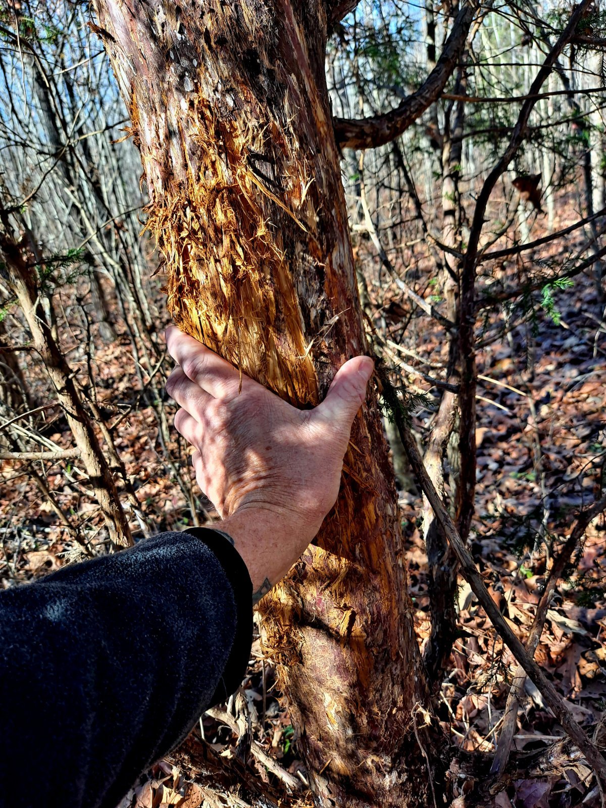 20231128_110149.jpg