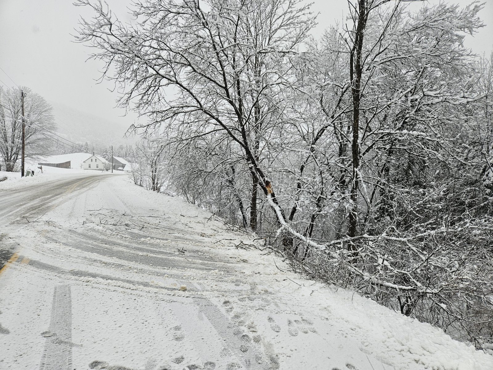 20231204_074937.jpg