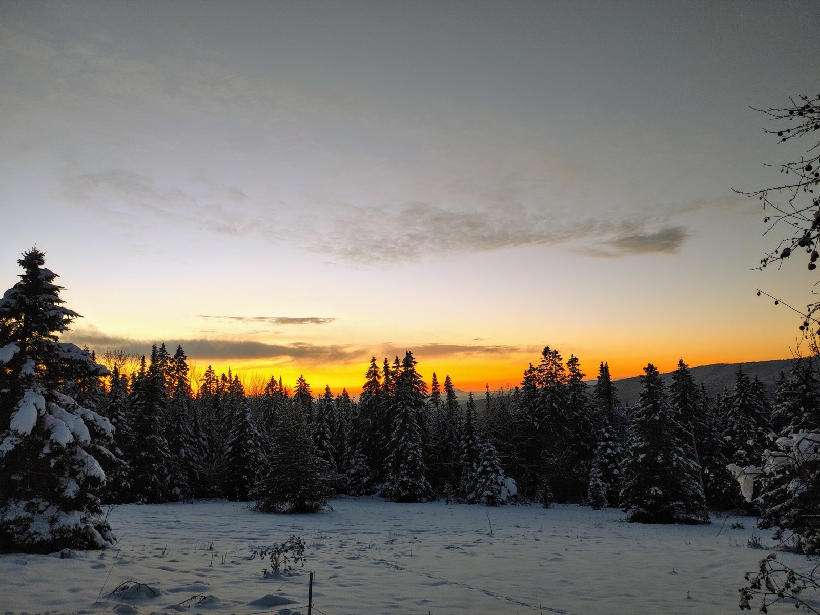 20231207_162728_HDR.jpg
