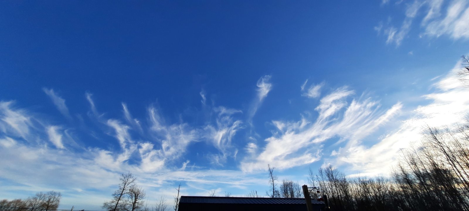 20231208_163355.jpg