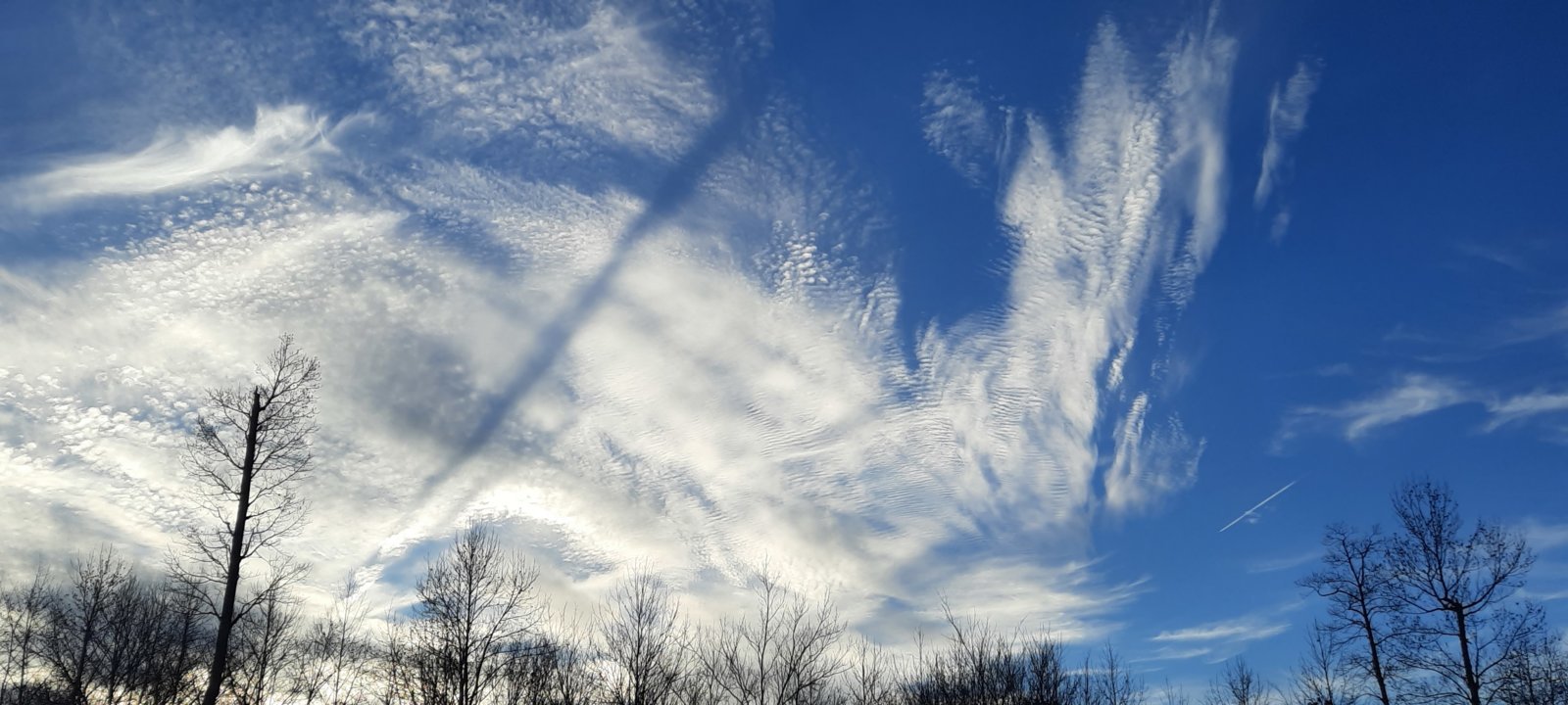 20231208_165013.jpg