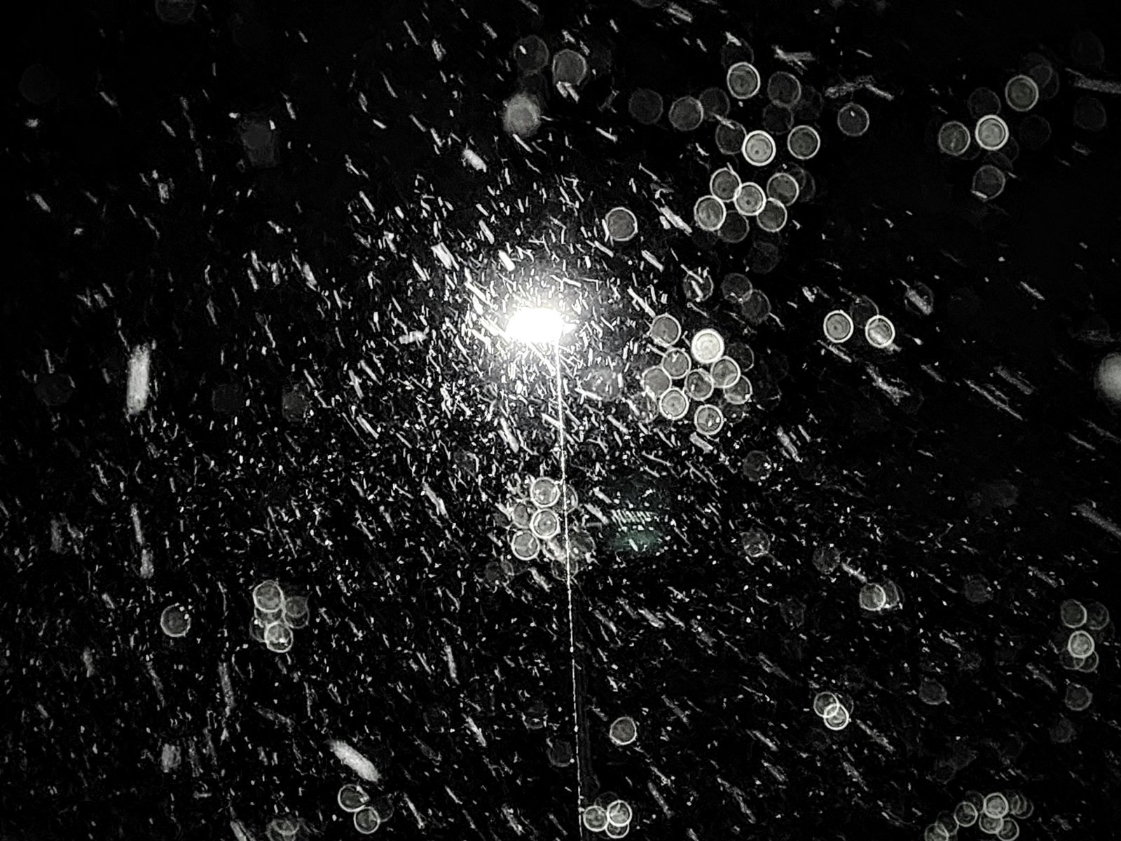 20231209_180016.jpg