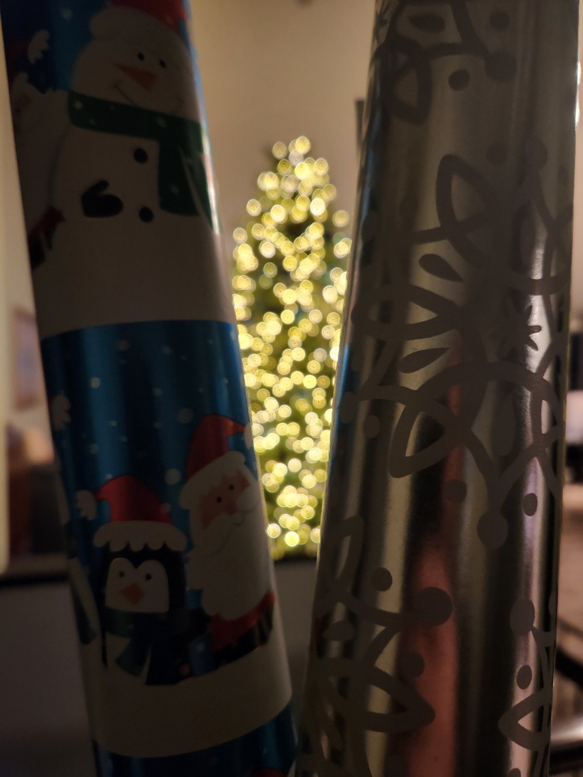 20231210_181801.jpg