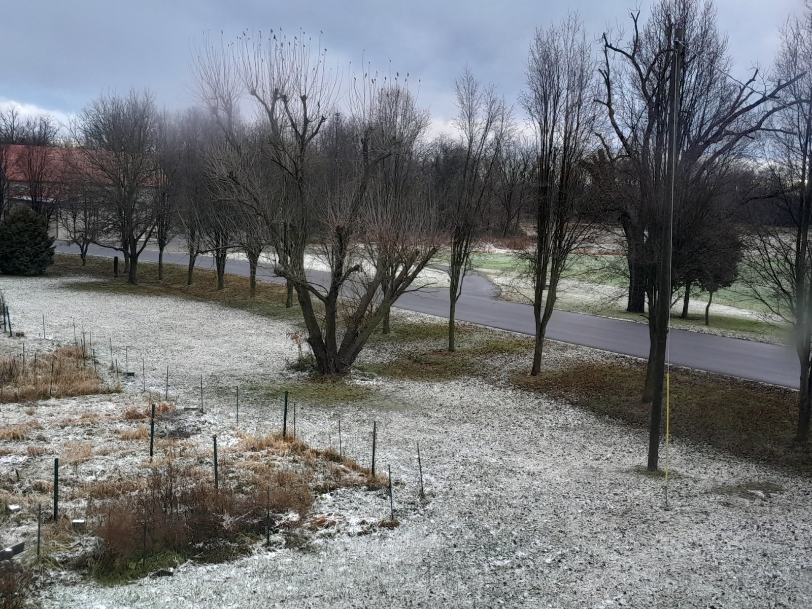 20231211_083111.jpg