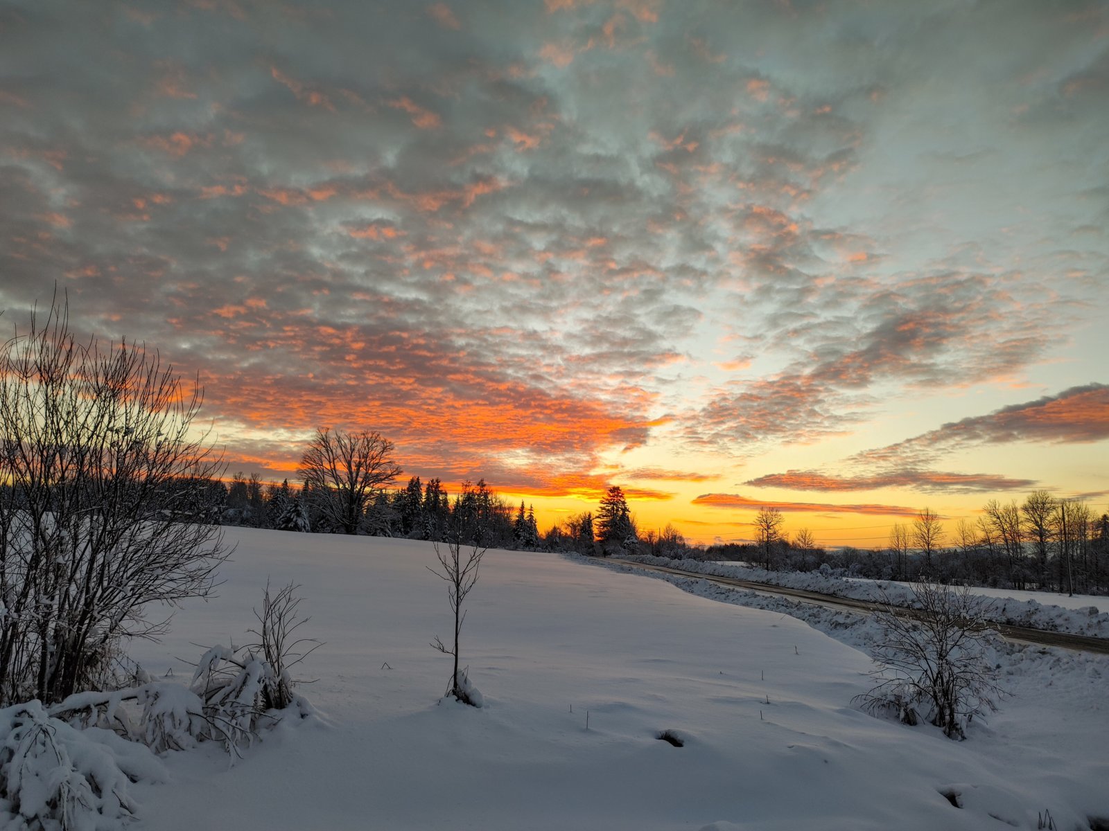 20231212_161130_HDR.jpg