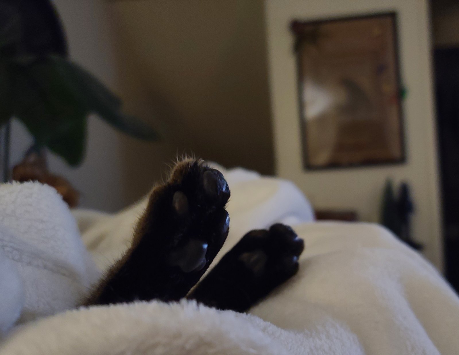 20231217_020937.jpg