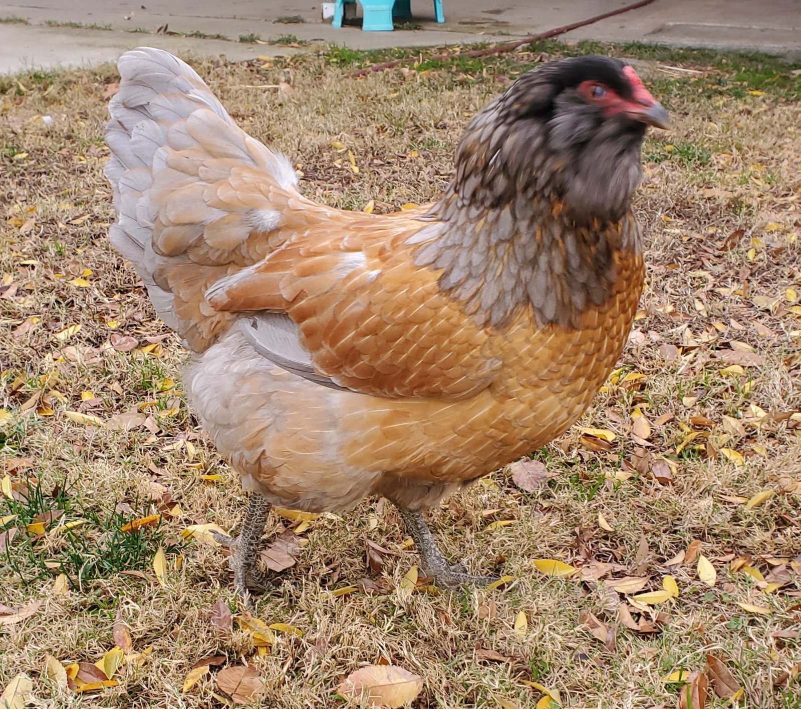 20231220_142147.jpg