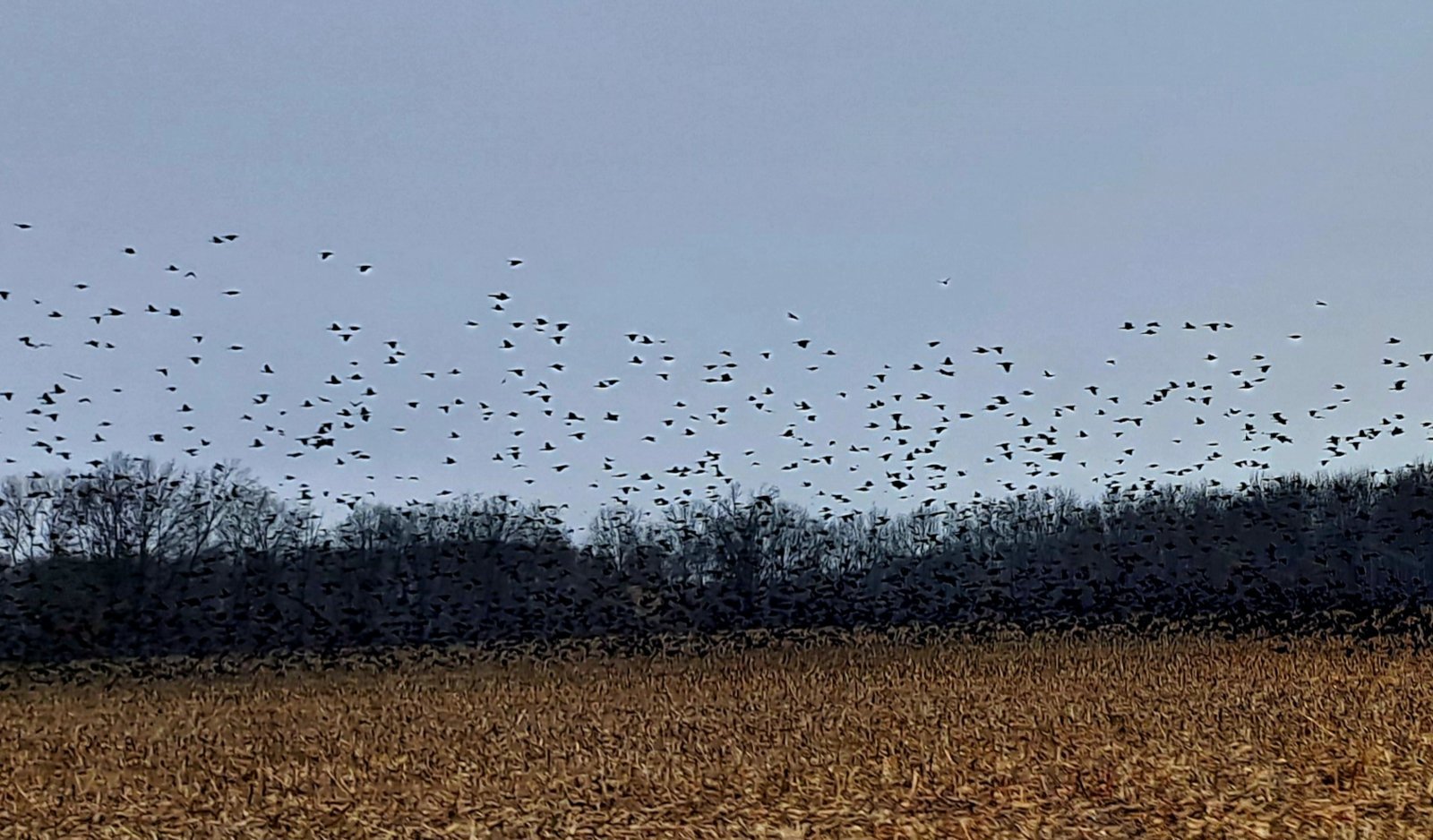 20231229_142115.jpg