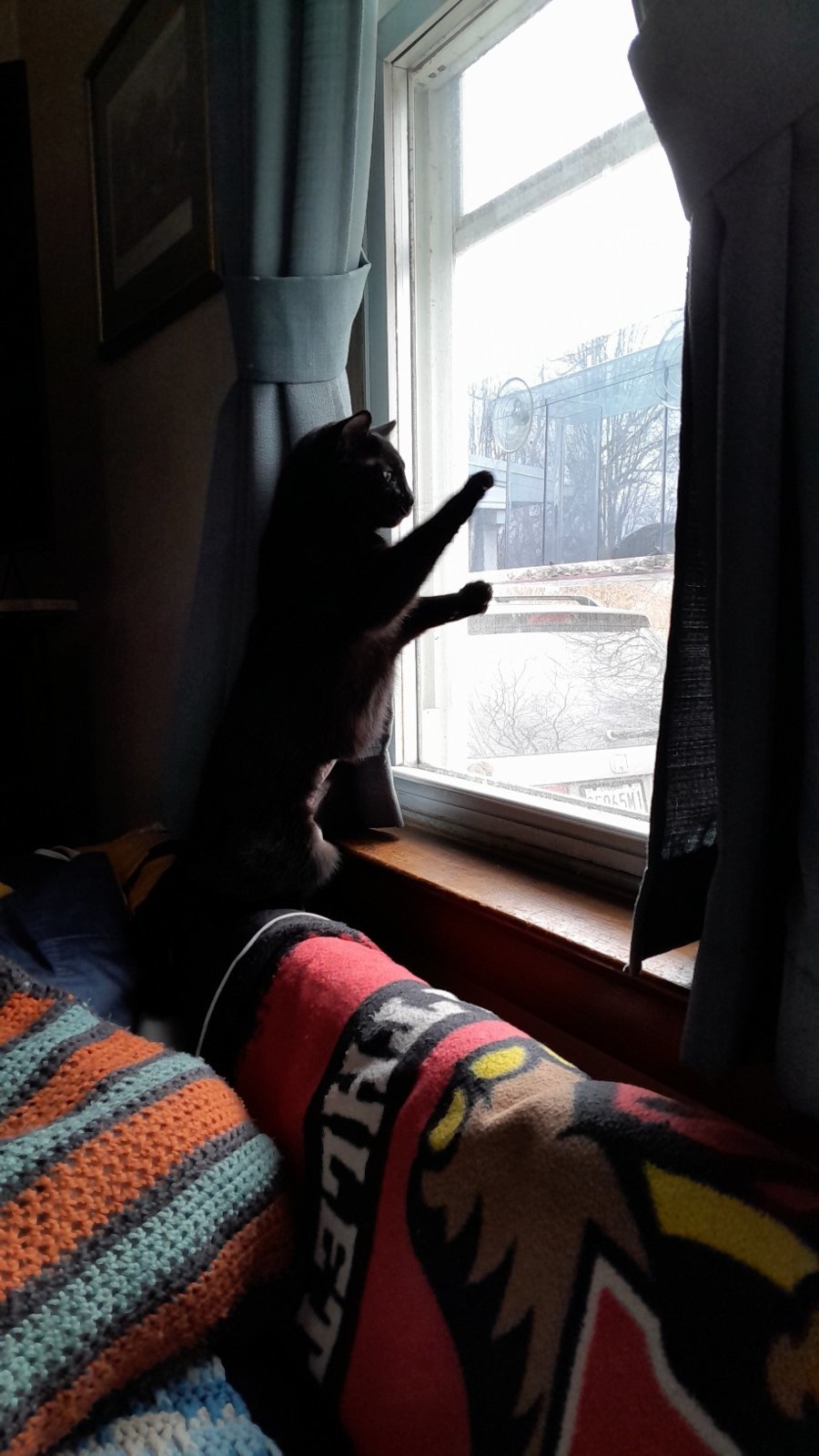 20231231_123728.jpg