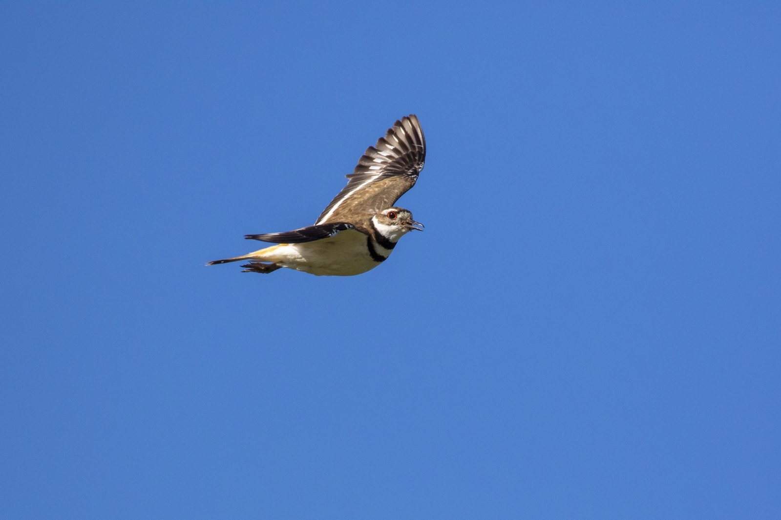 2024-06-15_05-38-07.jpg